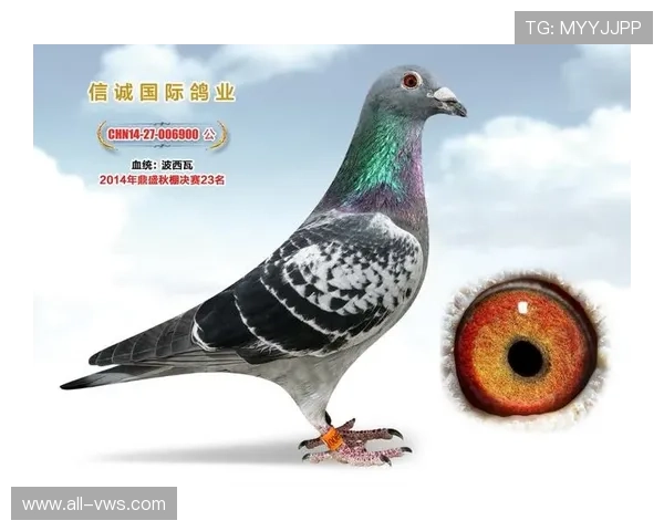 AG国际馆最新优惠活动时间表,抓住每一次享受福利的最佳时机